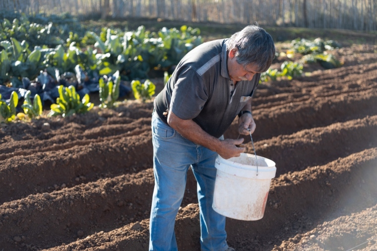 Imagem do post Pequenas mudanças que fazem diferença na produção agrícola e que podem ser financiadas com a Credisol